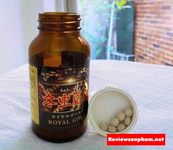 Đông trùng hạ thảo là gì? Thành phần hoạt chất sinh học đáng chú ý