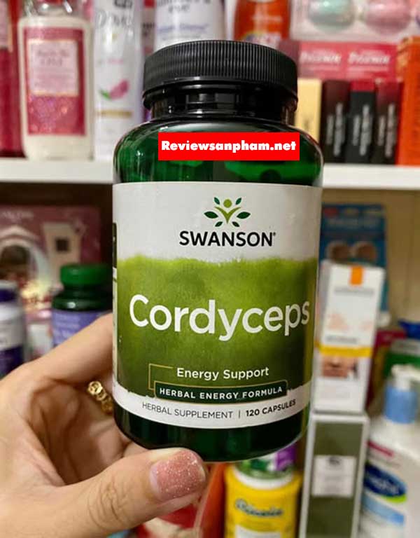 Đông trùng hạ thảo là gì? Thành phần hoạt chất sinh học đáng chú ý