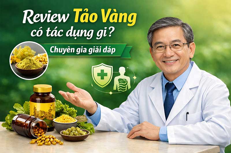 Review tảo vàng có tác dụng gì? Chuyên gia giải đáp