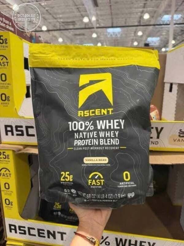 Thành phần nổi bật trong whey protein Ascent